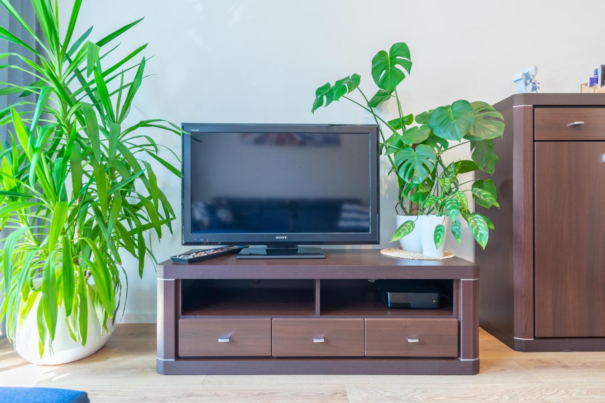 Apartament Anchor Przymorze Gdańsk Eksteriør billede